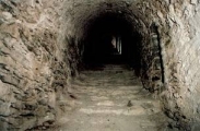 Interno Forte