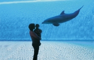 Acquario: Vasca Delfini